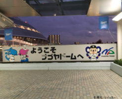 名古屋ドーム12月服装