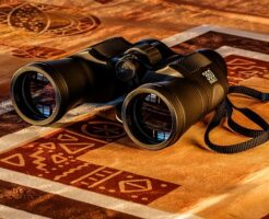 ライブ、コンサートにおすすめの双眼鏡条件