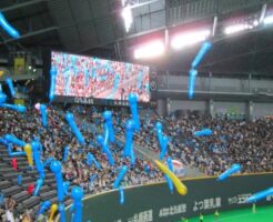 札幌ドームレフト外野指定席眺め