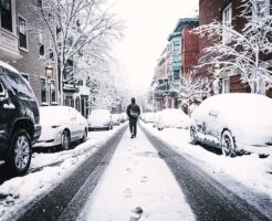 星野源ライブ2017スケジュール